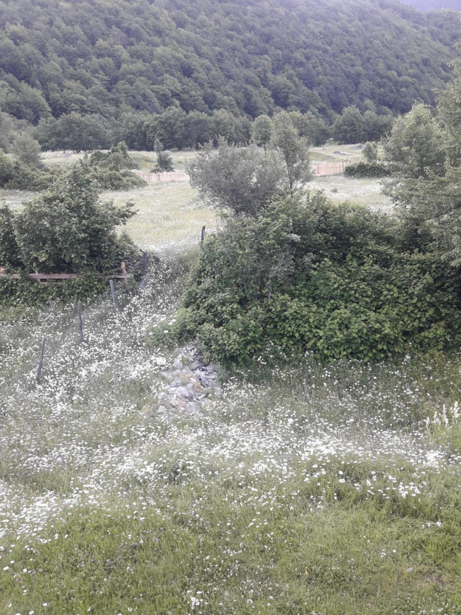 Peak Mazeri Guest House Cameră foto